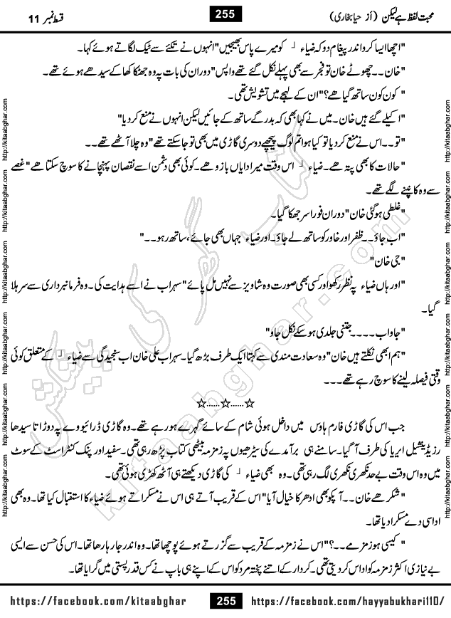 Mohabbat Lafz Hai Lekin Last Episode 14 Urdu Novel by Haya Bukhari Online Reading and PDF Download at Kitab Ghar