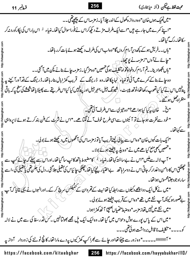 Mohabbat Lafz Hai Lekin Last Episode 14 Urdu Novel by Haya Bukhari Online Reading and PDF Download at Kitab Ghar