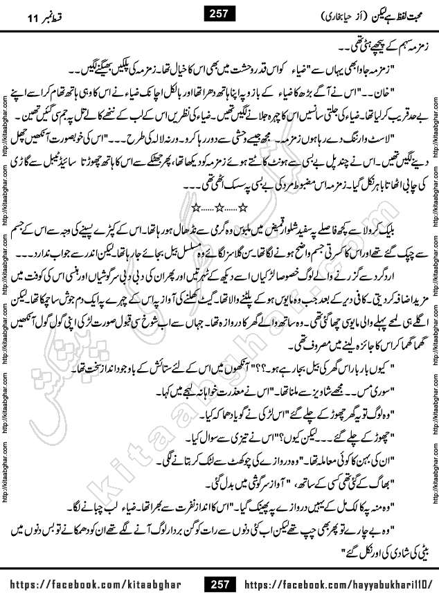 Mohabbat Lafz Hai Lekin Last Episode 14 Urdu Novel by Haya Bukhari Online Reading and PDF Download at Kitab Ghar