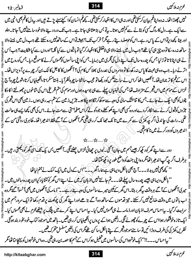 Mahram Na Mila Kahin Urdu Novel by Muhammad Shoaib for Online Reading at Kitab Ghar