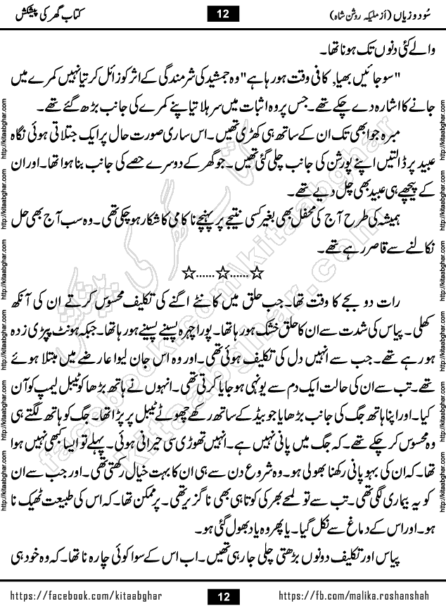 sood o zayan Urdu Novel by malika roshan shah published on Kitab Ghar