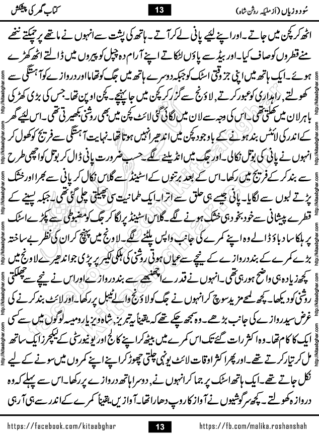 sood o zayan Urdu Novel by malika roshan shah published on Kitab Ghar