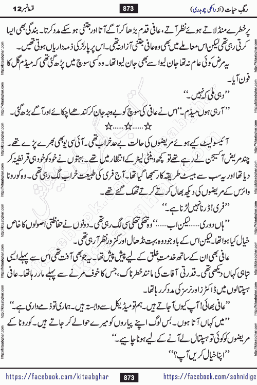 Rang e Hayat Socio Romantic Urdu Novel by Rakhi Chaudhary is based on beautiful love story born in destruction and rubbles. When the earthquake destroyed the settlements, turned them into rubble, dreams turned to ashes, and hopes were buried in the ground, even then a candle of love could not be extinguished in the heart. Urdu Novel Rang e Hayat is the story of a boy who loved a girl immensely, but the storm of time destroyed his home. In these difficult moments of grief, a Hindu girl friend lights the lamp of hope in his life. Rang e Hayat is actually a story of the colors of love, sacrifice, and humanity, which maintain their light even in the darkness of destruction