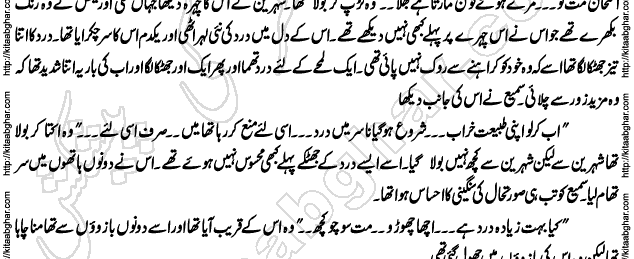 Rapunzel Urdu Romantic Novel by Tanzeela Riaz at Kitab Ghar for PDF Download